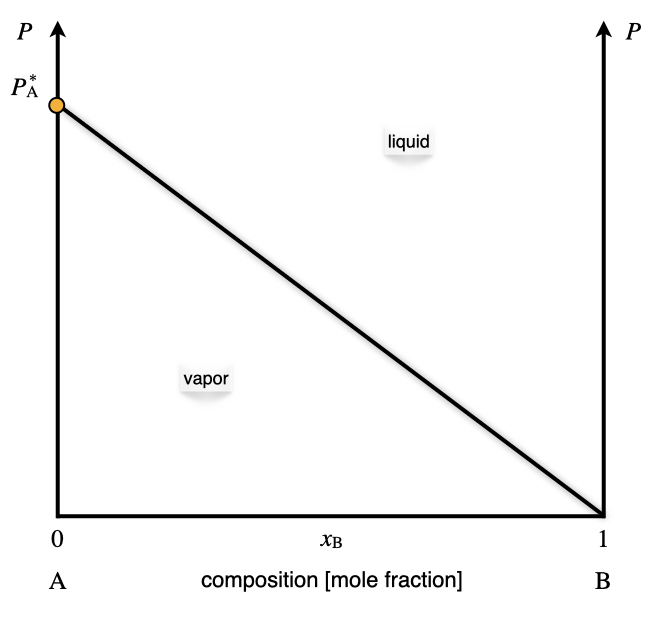 The Pressure–Composition Phase Diagram of an Ideal Solution Containing a Single Volatile Component at Constant Temperature.