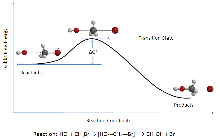 Reaction Coordinate Diagram for a Typical Reaction.