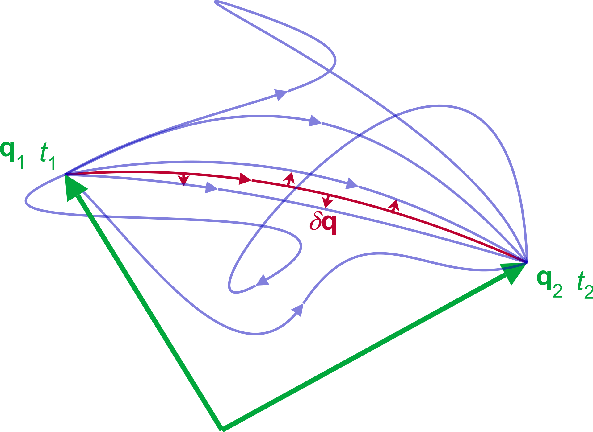 Principle of least action: As the system evolves, q traces a path through configuration space (only some are shown). The path taken by the system (red) has a stationary action under small changes in the configuration of the system.